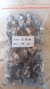Hose Clamp - Germany Type, W2-203SS, 12-20MM