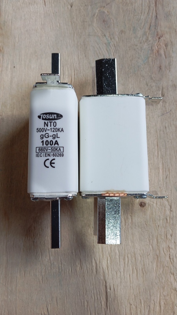 Low Voltage Fuse NT0 100A