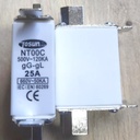 Low Voltage Fuse NT00C 25A