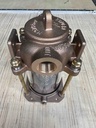 Sea Water Strainer 1"