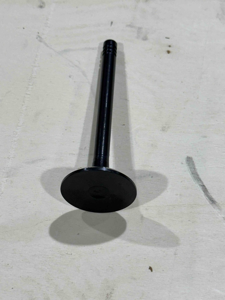 Valve Inlet 2010130011 (for 12kVA Hammou Diesel Generator)