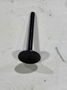 Valve Inlet 2010130011 (for 12kVA Hammou Diesel Generator)