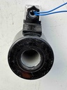 Hydraulic Solenoid Valve Coil