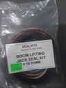 Boom Lifting Jack Seal Kit R70/110mm
