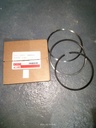 Piston Ring 3800912
