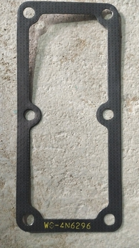 Gasket 4N6296