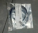 Ring Back 7Y0682