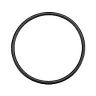 O-ring SAP0002508