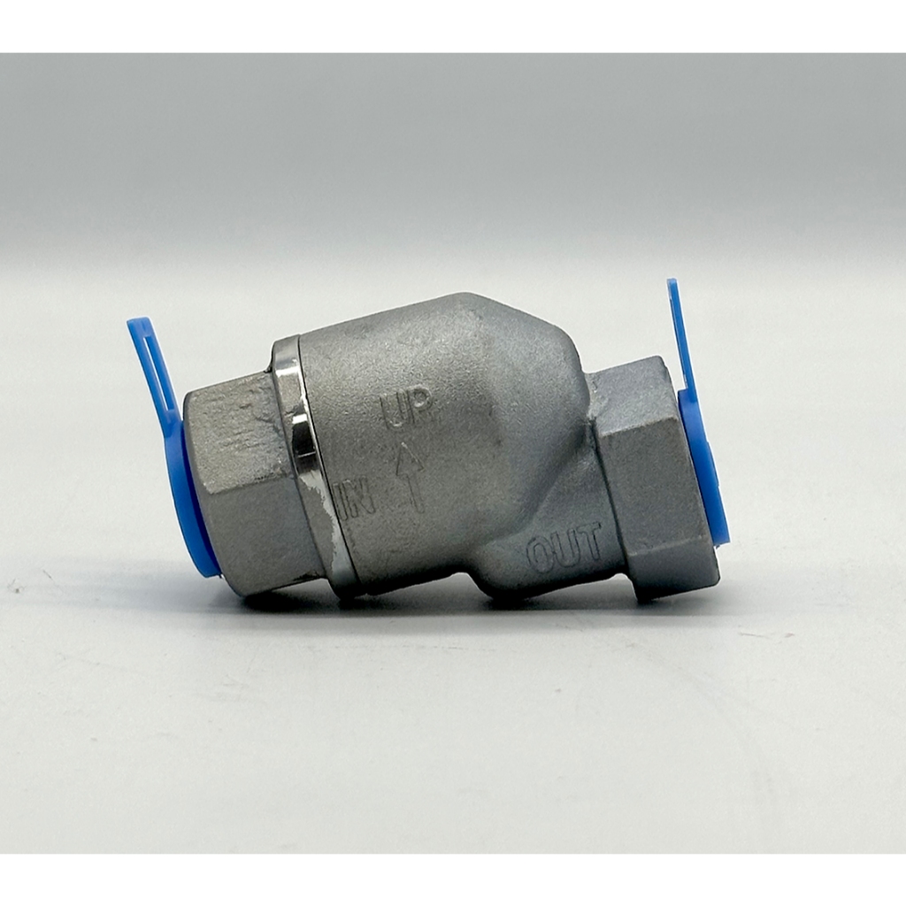 Industrial Air Brake Check Valve 3/4" (44510-1090)