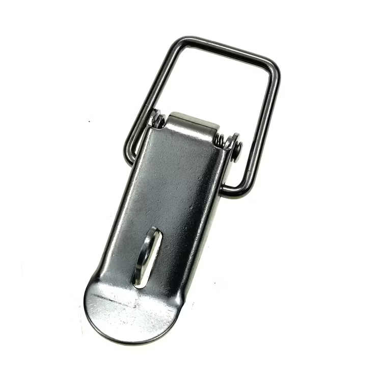 Spring Loaded Rocker Locks With Lock, SS316, 20x55MM