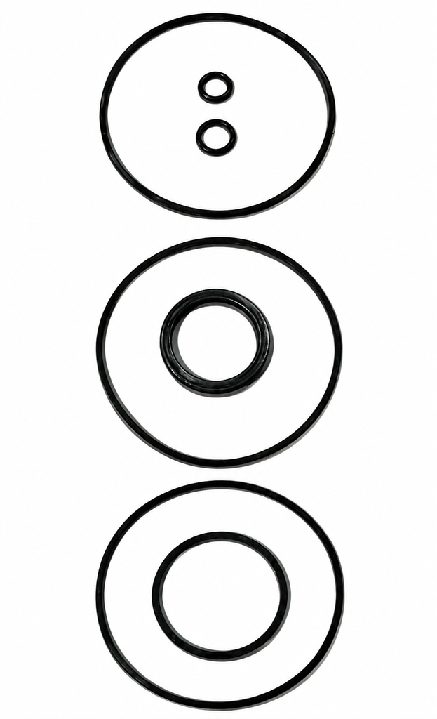 Power Steering Seal Kit 1025258-P3