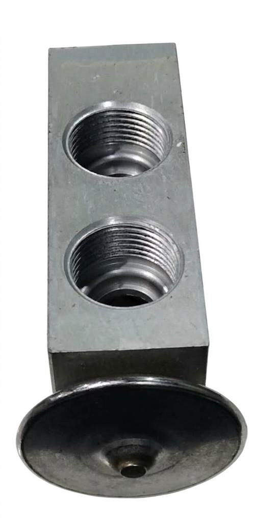 Thermostatic Expansion Valve 582499801C, R-134A (A/C SYSTEM) 