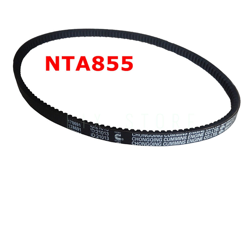 Belt 178691