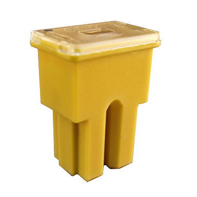 Female Main Fuse 60A