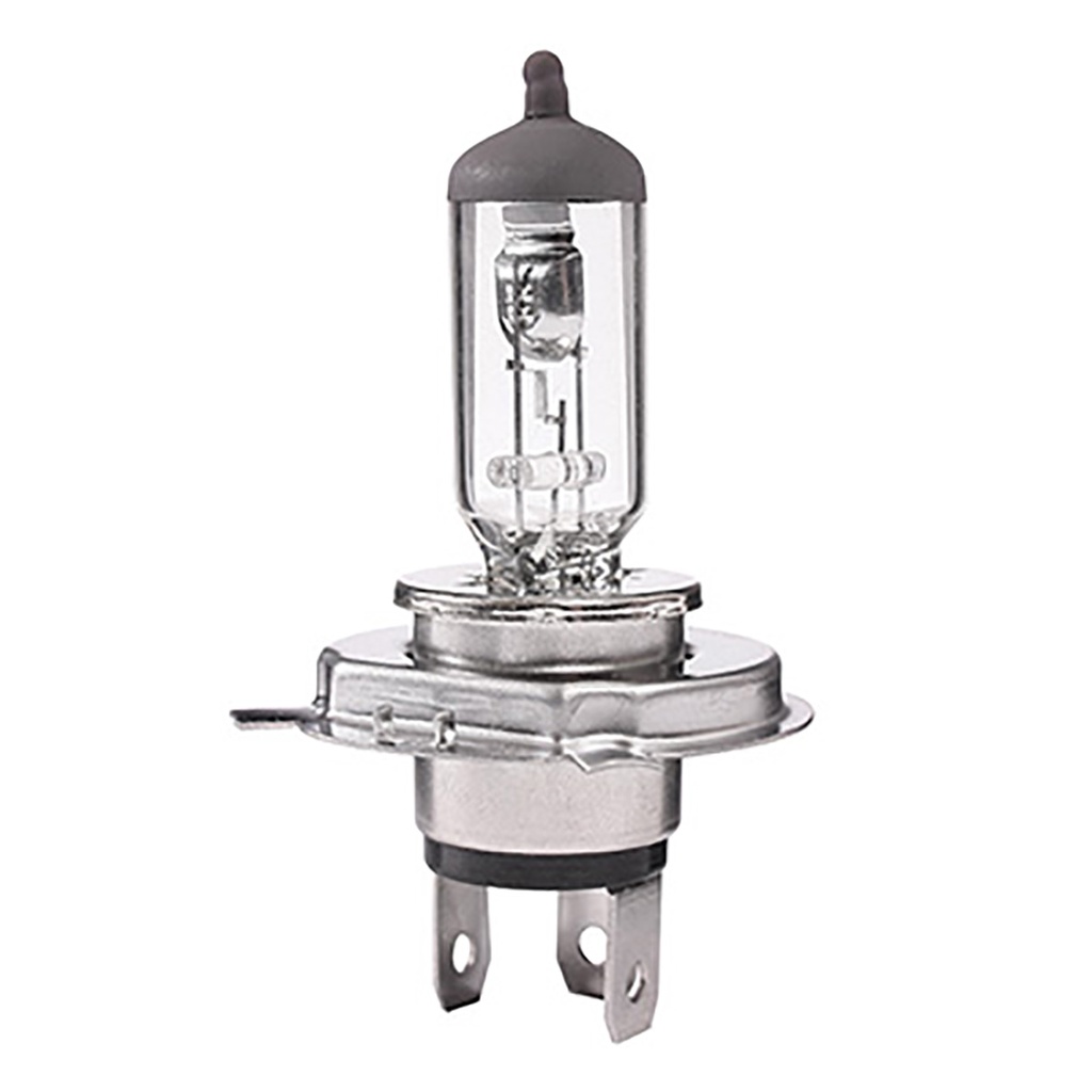 Halogen Lamp H4 12V-100/90W Bosch/BioLight