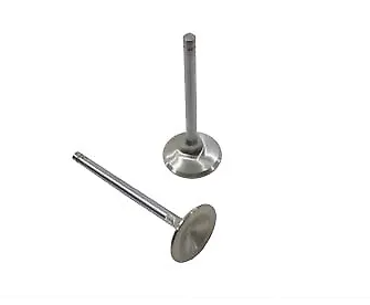 Valve Exhaust A