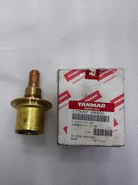 Thermostst 123682-48601