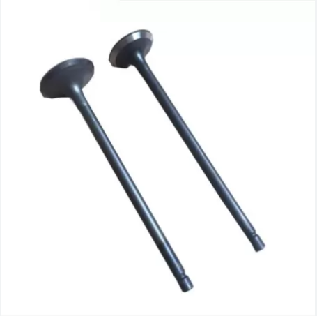 Valve Intake ME061545