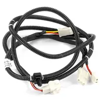 Wire Harness LC11E01065P2
