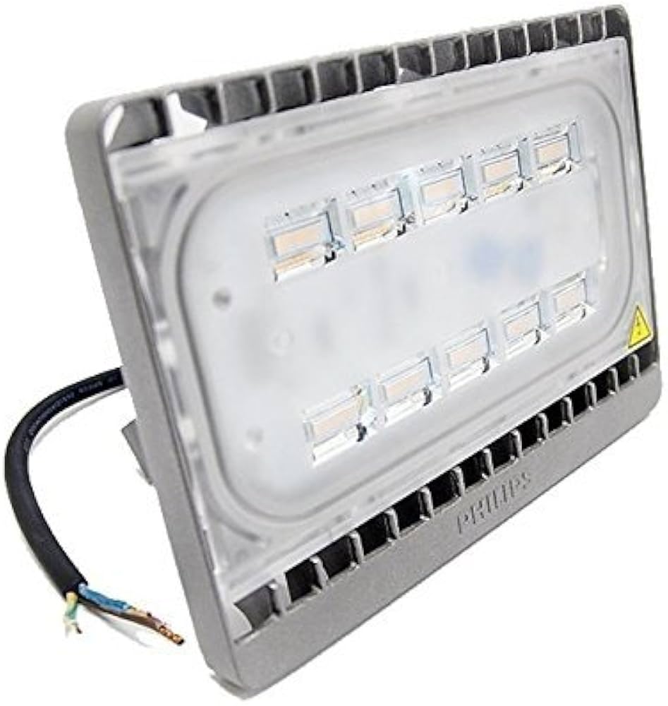 Philips Led Light 30W/220-240V BVP161