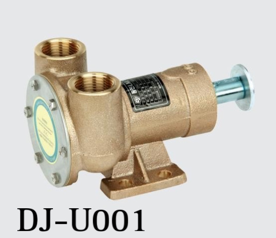 Sea Water Pump 1"/25MM DJ-U001