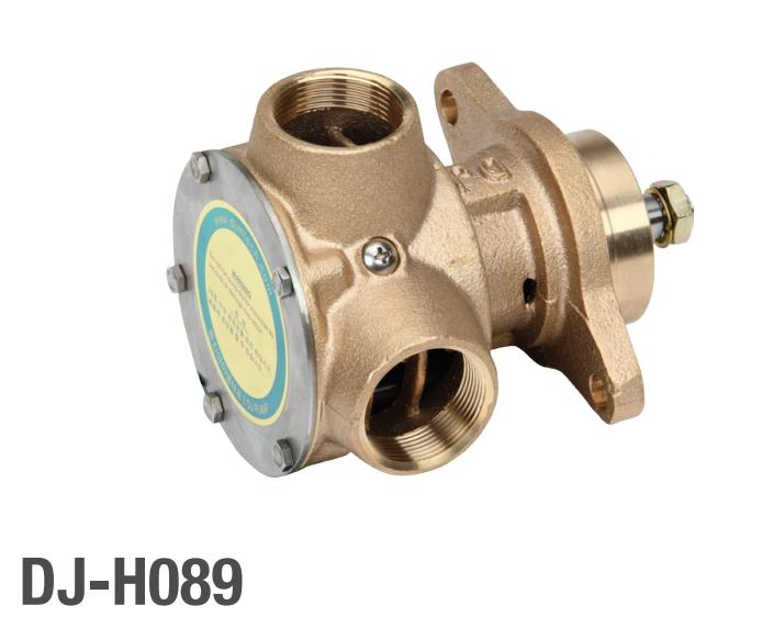 Sea Water Pump 1-1/2"/40MM DJ-H089