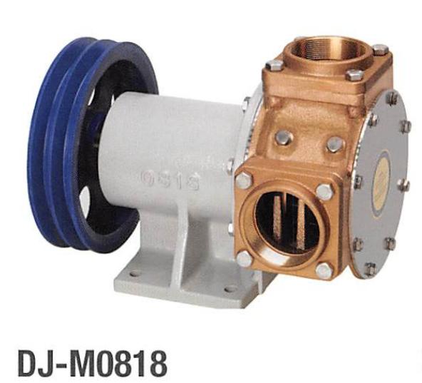 Sea Water Pump 3"/80MM DJ-M0818