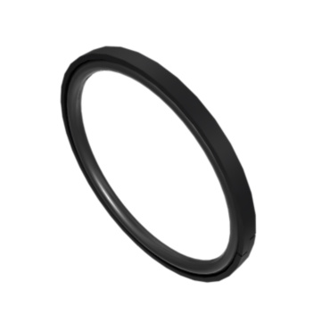 Seal As 2462896