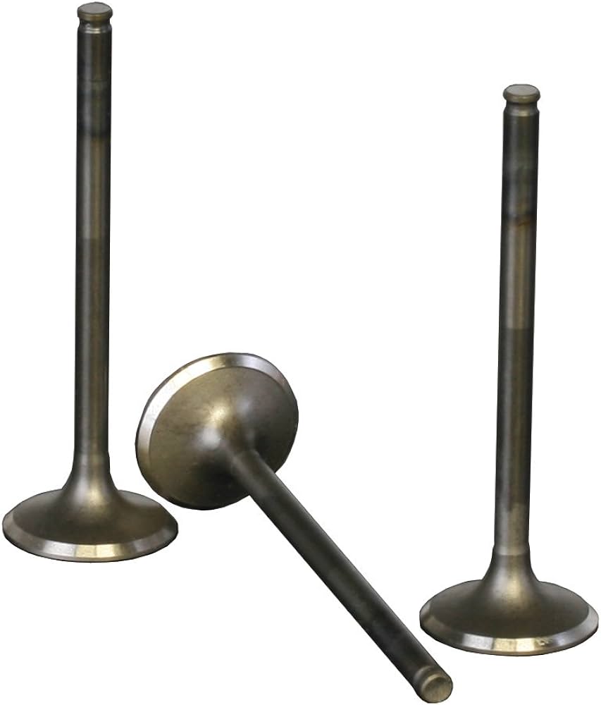 Exhaust Valve W04B-102-01+D