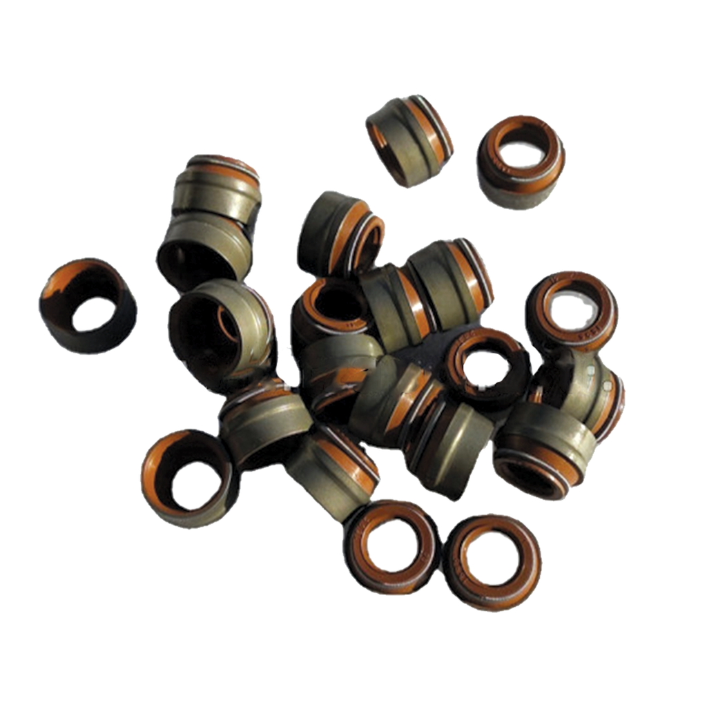 Valve Stem Seals 61800050151