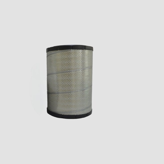 Air Filter A44131 (ECOGUARD)