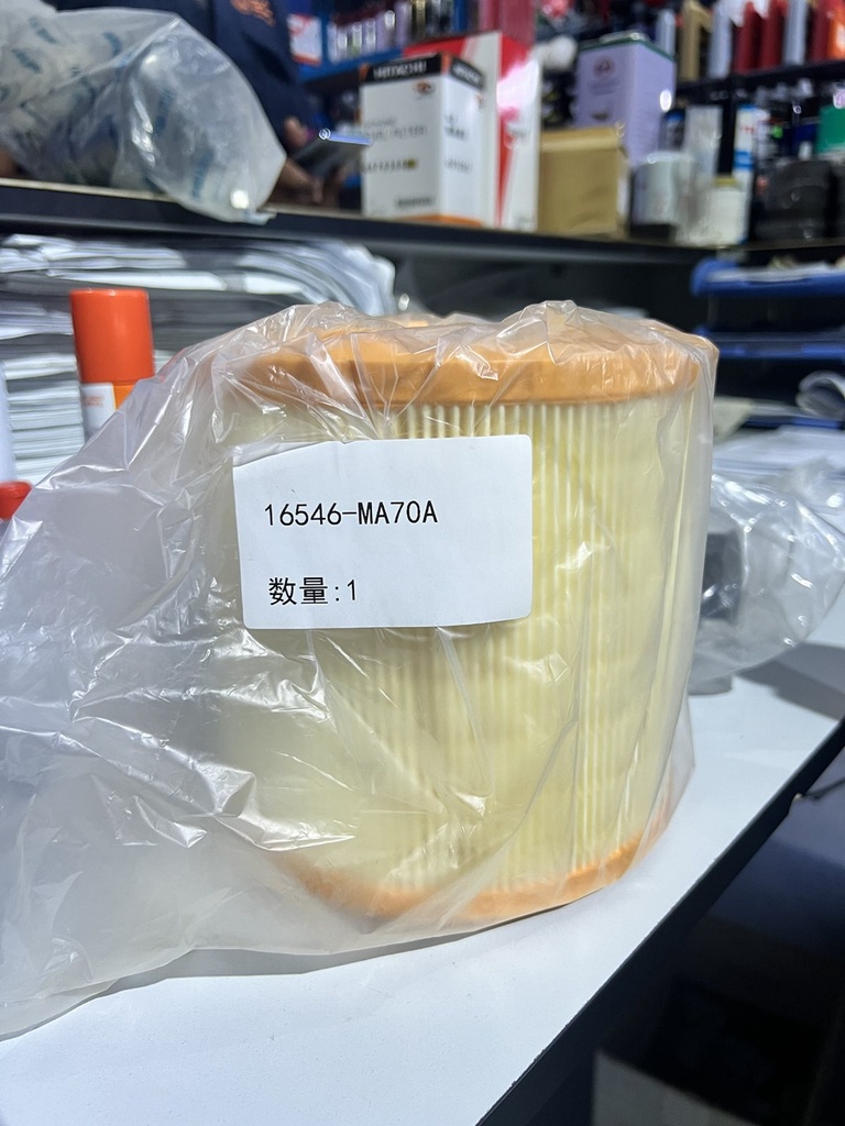Air Filter 16546-MA70A