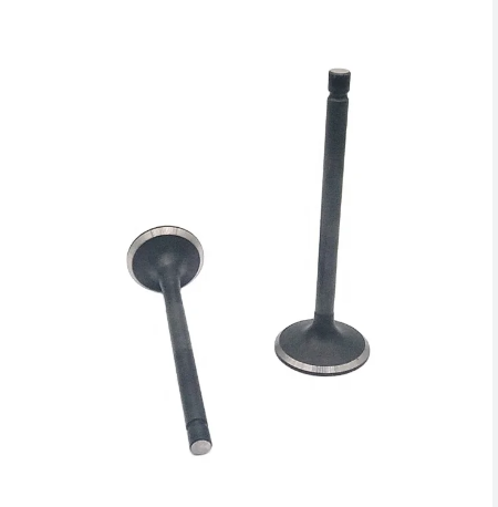 Engine Valve I/S 6Bd1/Bg1 F J0531