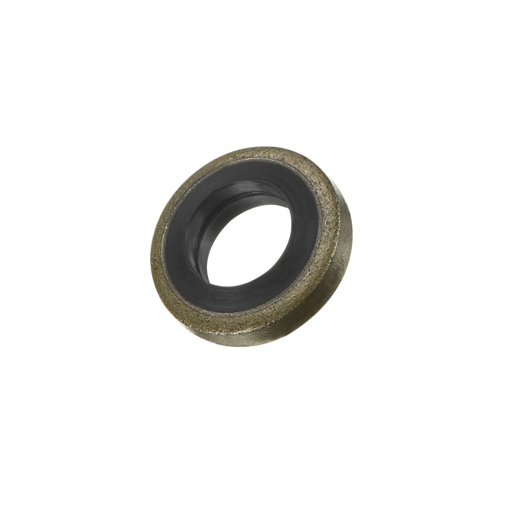 Sealing Washer A4000160080
