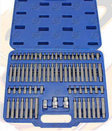 Torx Bit Set (75 Pcs/Set)