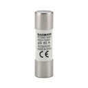 Cylindrical Fuse Link RO16 10A