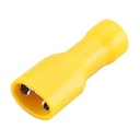 Insulated Terminal FDFD5.5-250