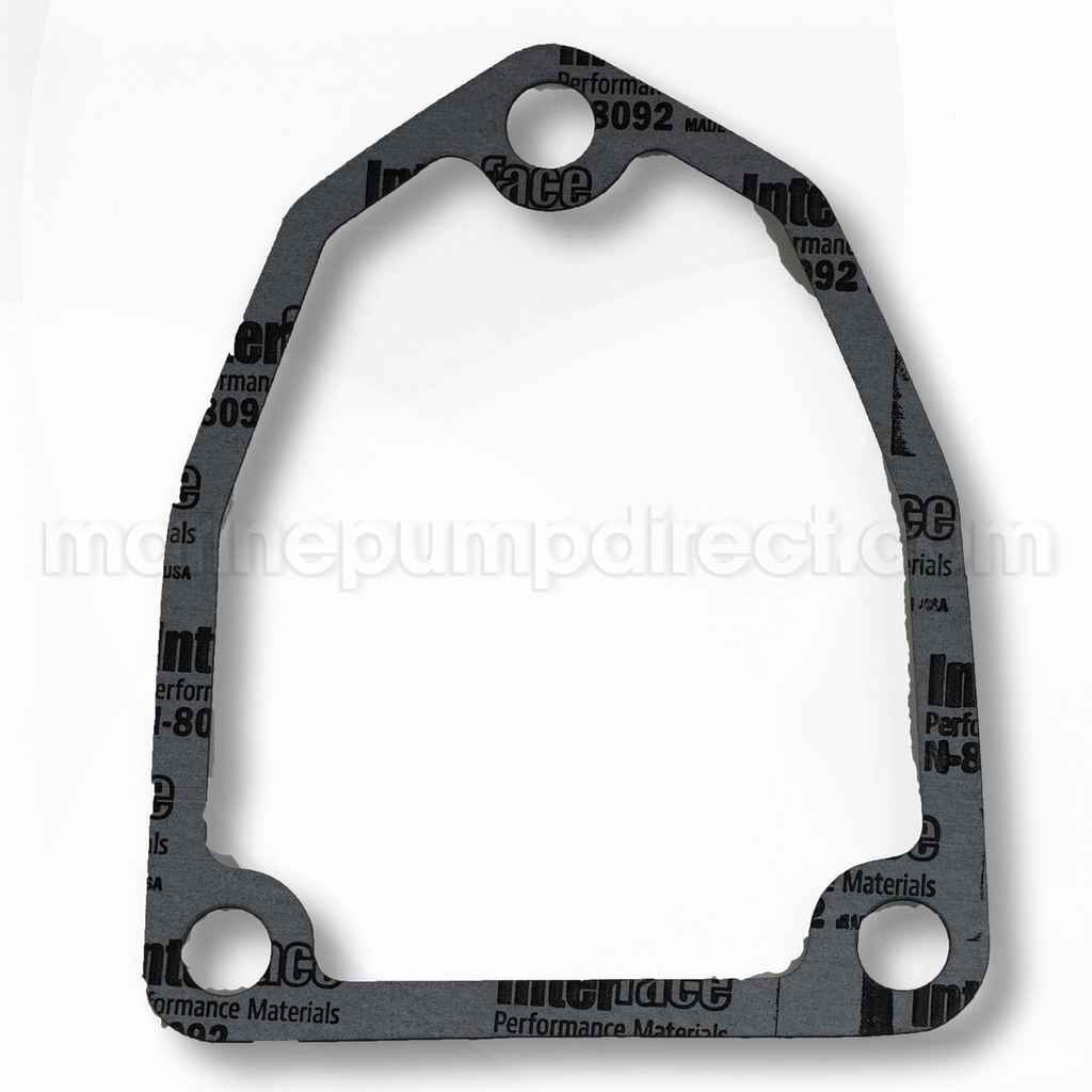 Gasket 2S4080