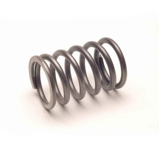 Spring Valve 281-6157