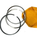 Piston Ring 3800912