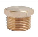 Brass Male End Plug 20MM