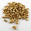 Button Head Rivets 1"