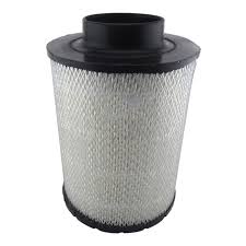 Air Filter 3924540