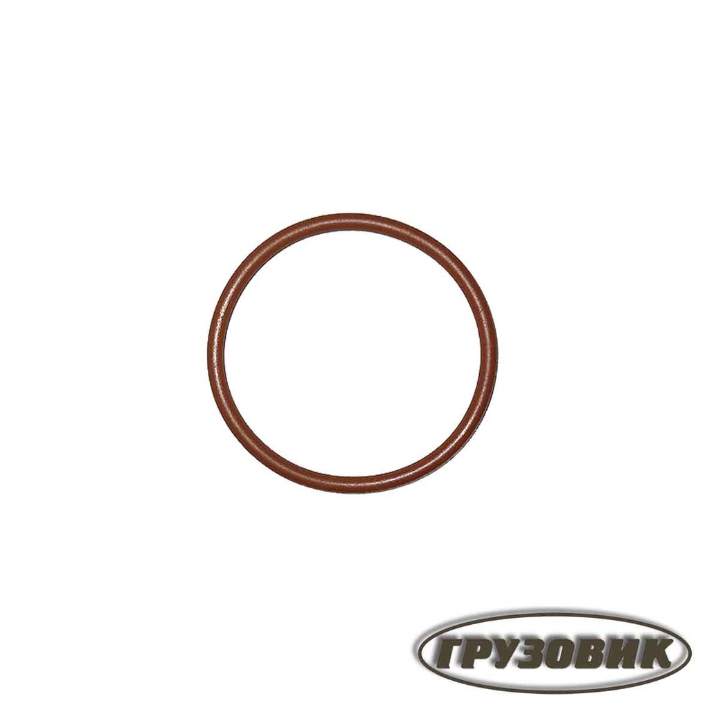 Weichai O-Ring 612639000019 (For Marine engine 550HP)