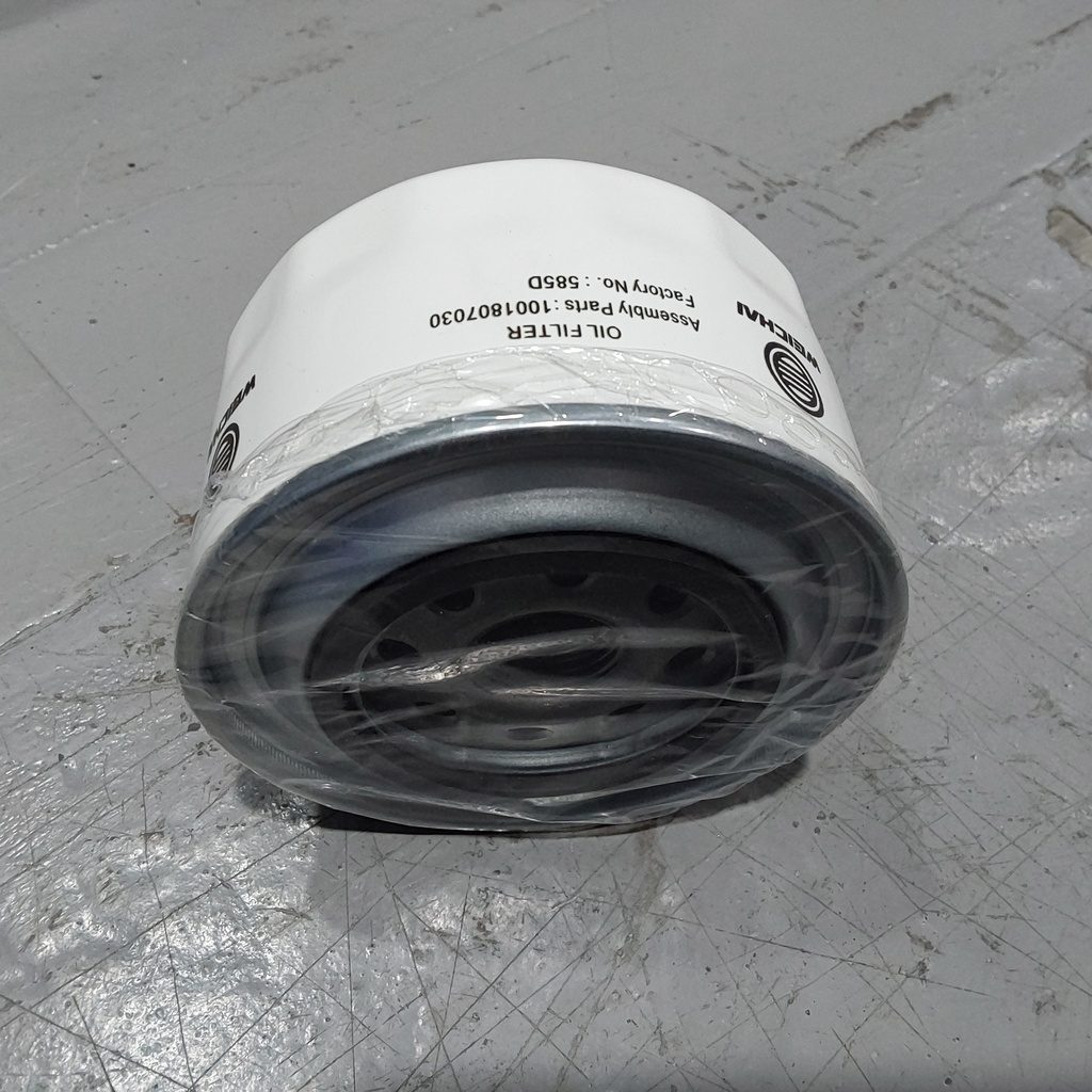 Oil Filter 1001807030