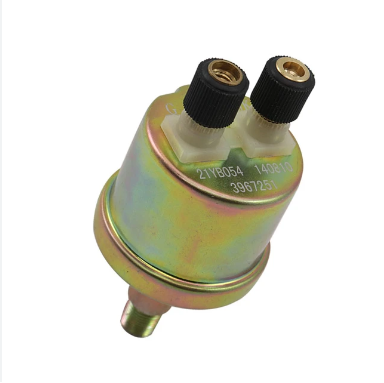 Oil Sensor Plug 21YBO54