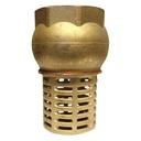 Brass Foot Valve 4"