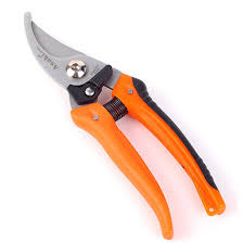 ASAKI Pruning Shears 8", AK-8639