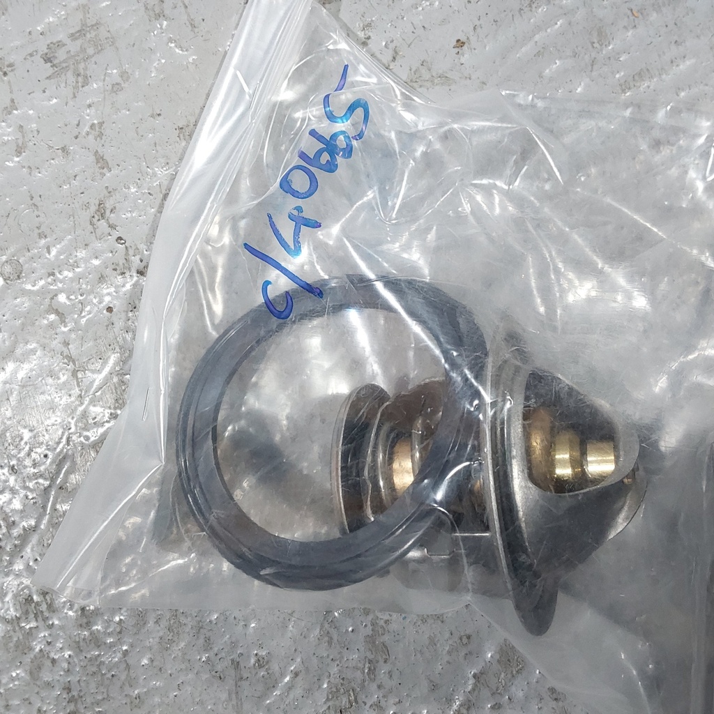 Thermostat, 09 5 , 82C