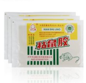 [40365] Mouse Glue Trap DH-B1#